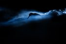 DEEP SEA