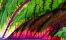 Farben und Formen