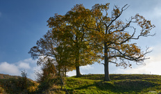 Herbstbeginn