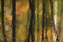Herbst-Teich