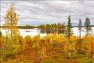 Herbst in Lappland