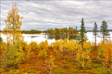 Herbst in Lappland