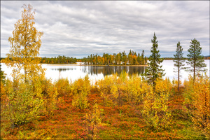 Herbst in Lappland