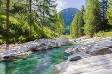 Rheinzufluss vorher – nachher...