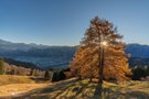 Wenn der Herbst die Alpen vergoldet
