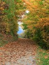 Herbstfarben