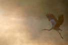Abflug