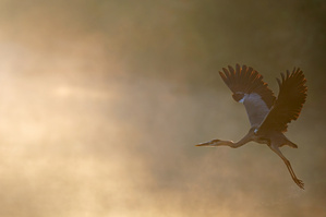 Abflug