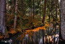 Wenn der Herbst durchs Wasser tanzt