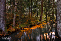 Wenn der Herbst durchs Wasser tanzt