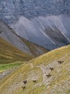 Herbst im Gebirge