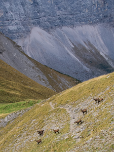 Herbst im Gebirge