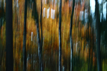 Herbst-Farben