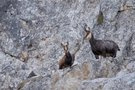 Obacht