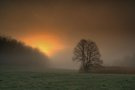 Herbstmorgen