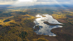 Taiga-Licht