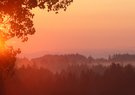 Morgenstimmung