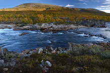 Saltfjellet