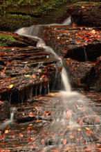 Monbachtal