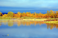 Herbstzeit im Hohen Norden