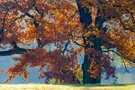 sonniger Herbsttag am See