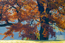 sonniger Herbsttag am See