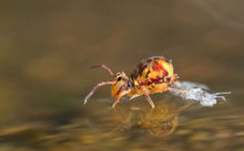 Auf dem Wasser unterwegs