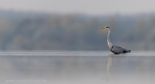 Welcher Tierfotograf kennt das nicht...