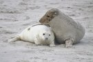 Leise rieselt der Sand