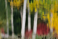 Herbstimpression