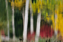 Herbstimpression
