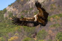 Landeanflug