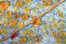 Tautropfenuniversum