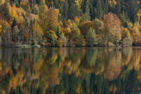 Herbststimmung am Bergsee