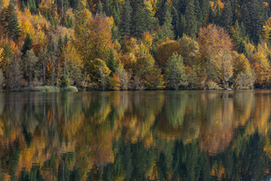 Herbststimmung am Bergsee