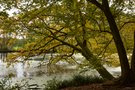 Herbstzeit