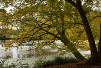 Herbstzeit