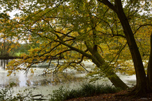 Herbstzeit