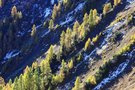 Herbst im Gebirge