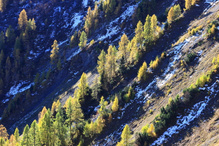 Herbst im Gebirge