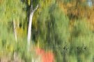 Herbstimpression ..
