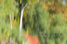 Herbstimpression ..
