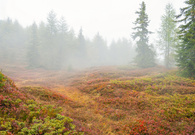 Herbstzeit