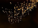 „collier de perles“