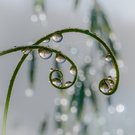 Kringeluniversum