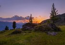 Abendstimmung an der Baumgrenze
