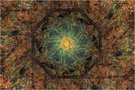 Herbstkaleidoskop im Buchenwald