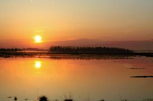 Sonnenaufgang im Moor