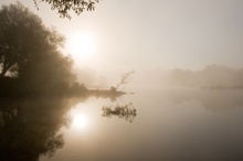 Nebel an der Ruhr