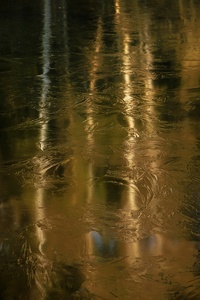 Spiegelung